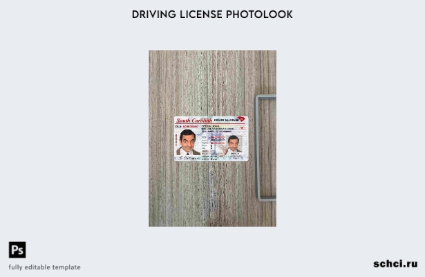 цифровая загрузка США, Южная Каролина, шаблон DL Photolook FRONT